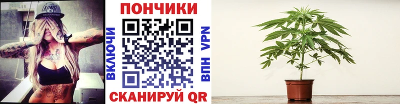Бошки Шишки гибрид  Киренск 